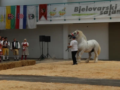 Otvoren je 29. Jesenski međunarodni bjelovarski sajam