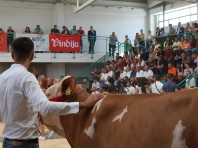 Otvoren je 29. Jesenski međunarodni bjelovarski sajam