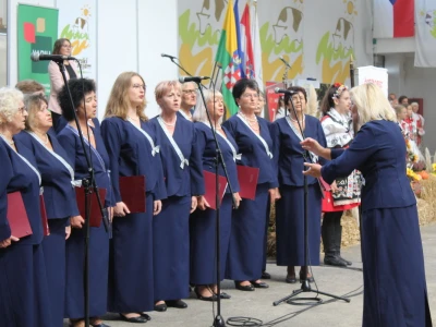 Otvoren je 29. Jesenski međunarodni bjelovarski sajam