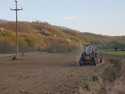 OVE GODINE NAJVIŠE POVRŠINA POD KUKURUZOM BIĆE ZASEJANO U OPTIMALNIM ROKOVIMA