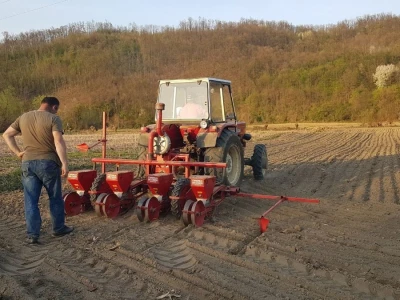 OVE GODINE NAJVIŠE POVRŠINA POD KUKURUZOM BIĆE ZASEJANO U OPTIMALNIM ROKOVIMA