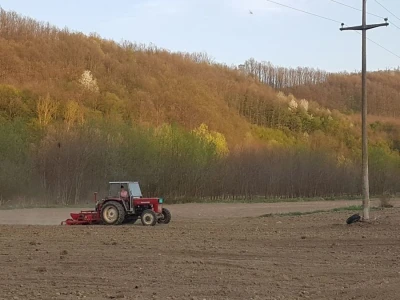 OVE GODINE NAJVIŠE POVRŠINA POD KUKURUZOM BIĆE ZASEJANO U OPTIMALNIM ROKOVIMA