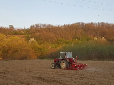OVE GODINE NAJVIŠE POVRŠINA POD KUKURUZOM BIĆE ZASEJANO U OPTIMALNIM ROKOVIMA