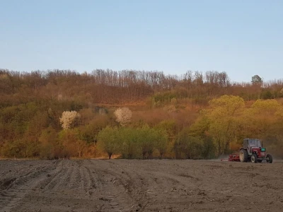 OVE GODINE NAJVIŠE POVRŠINA POD KUKURUZOM BIĆE ZASEJANO U OPTIMALNIM ROKOVIMA