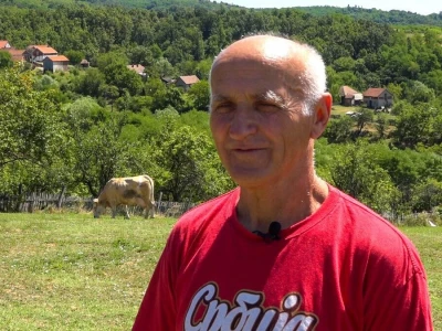 PADINE CERA IDEALNE ZA ISPAŠU GOVEDA