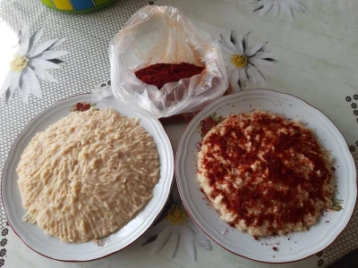 Pasulj