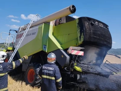 Pažari na usevima pšenice u Hrvatskoj