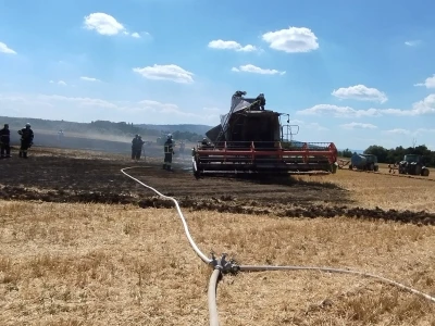 Pažari na usevima pšenice u Hrvatskoj