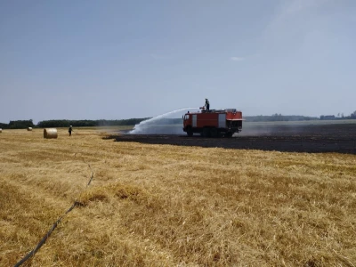 Pažari na usevima pšenice u Hrvatskoj