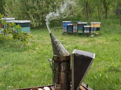 Pčelarev sin
