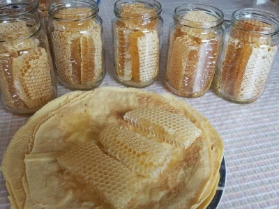 Pčelarev sin