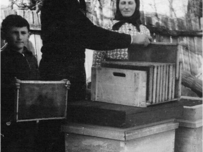 Pčelarsko domaćinstvo Milošević