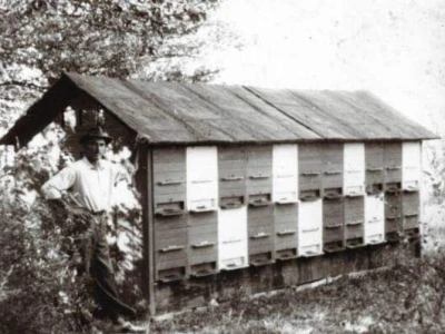 Pčelarsko domaćinstvo Milošević