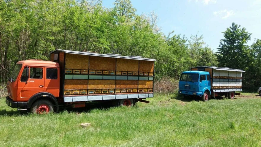 Kamioni sa ko&scaron;nicama