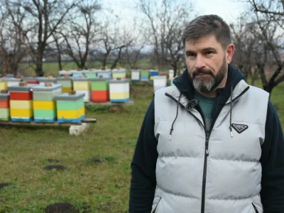 Pčelarsko gazdinstvo Milutinović