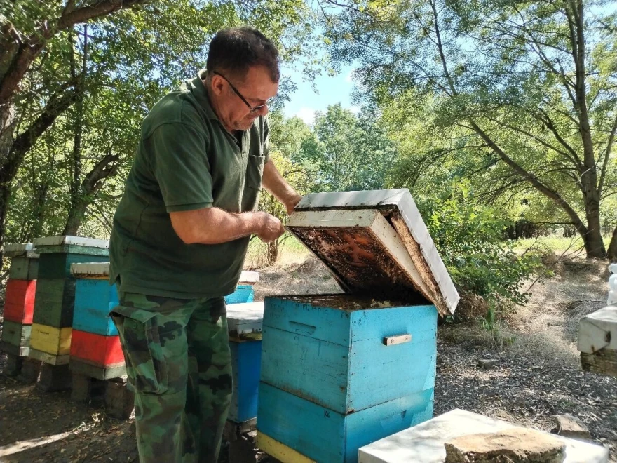 Pčelar Radovan Radivojević sa ko&scaron;nicama
