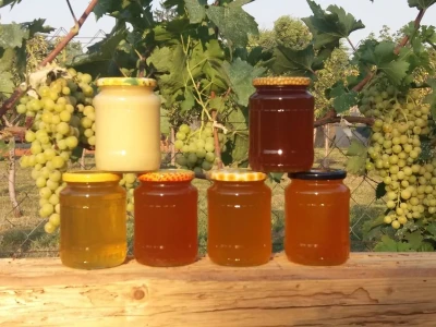 Pčelrstvo iz ugla mladih pčelara
