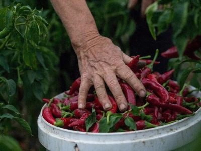 Pet savjeta za ruralnu fotografiju koja priča priču