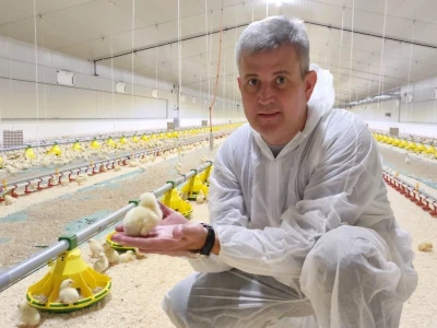Petrinja Chicken Company