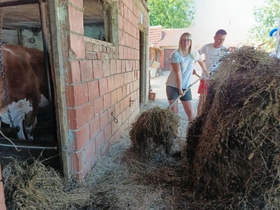 Petrovići iz Zdravinja naučili sve o uzgoju goveda i proširili proizvodnju