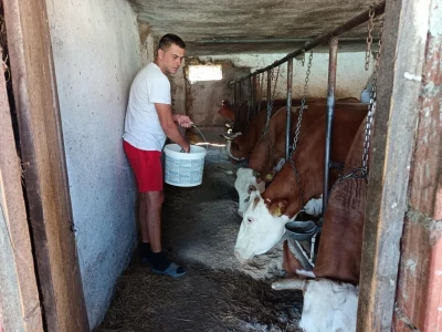 Petrovići iz Zdravinja naučili sve o uzgoju goveda i proširili proizvodnju