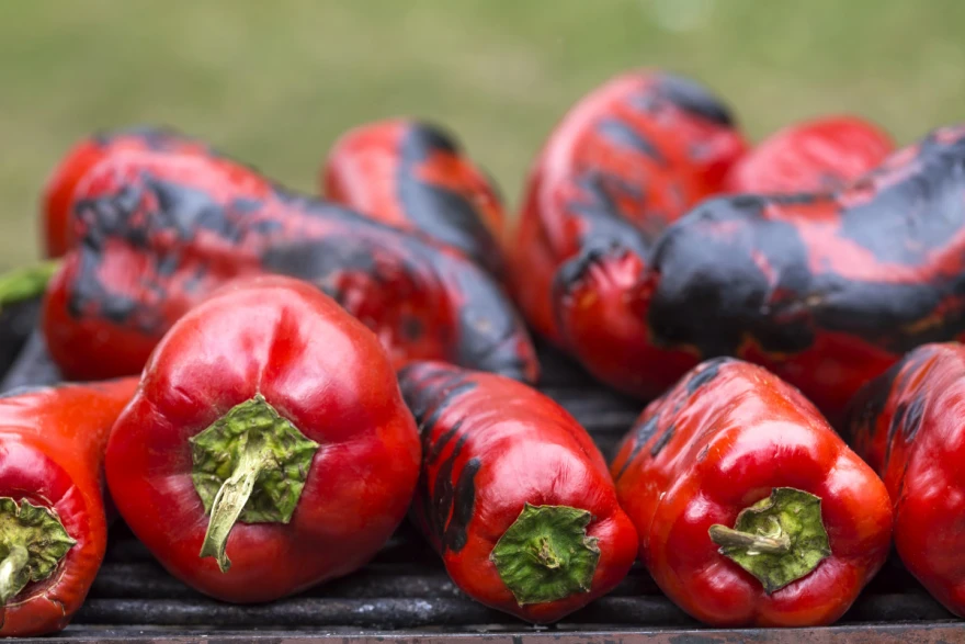 Paprika