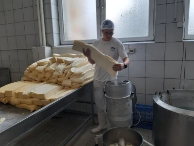 Pirotski kačkavalj