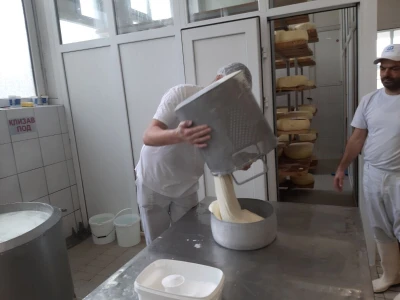 Pirotski kačkavalj