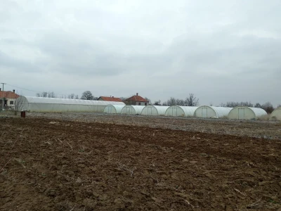 Plastenici