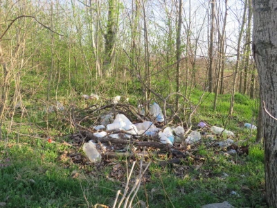 Pohod na sremuš
