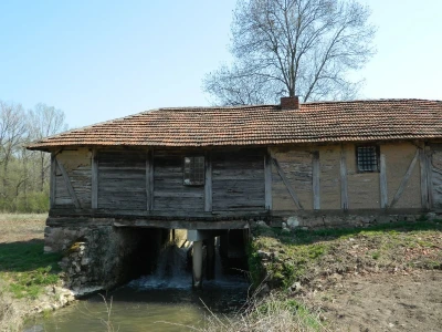 Poljoprivreda - porodična tradicija Radisavljevića