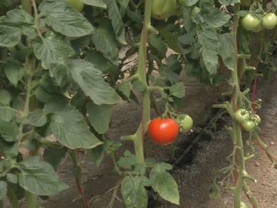 Poljoprivredna škola sa Domom učenika Valjevo