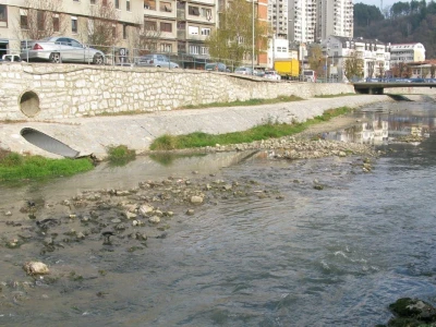 Pomor ribe u Đetinji