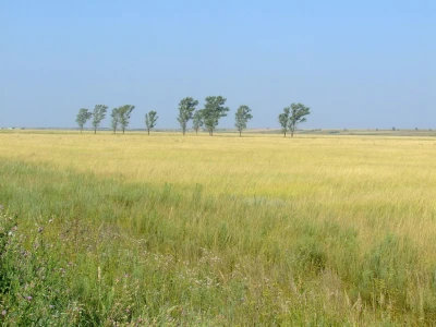 Ponjavica i Mali vršački rit