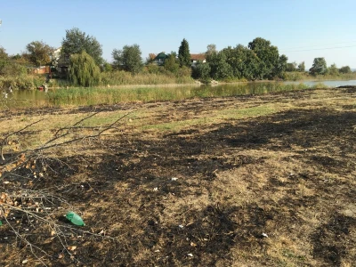 Ponjavica i Mali vršački rit