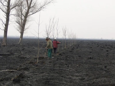 Ponjavica i Mali vršački rit