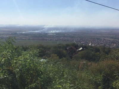 Ponjavica i Mali vršački rit