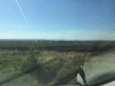 Ponjavica i Mali vršački rit