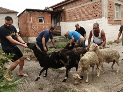 Poplava u Grčkoj