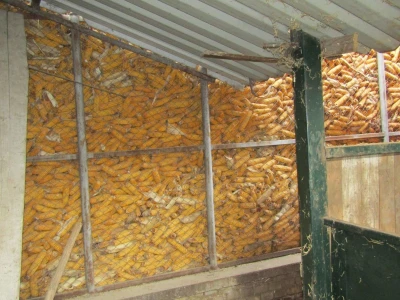 Porodična farma muznih krava Mužlai