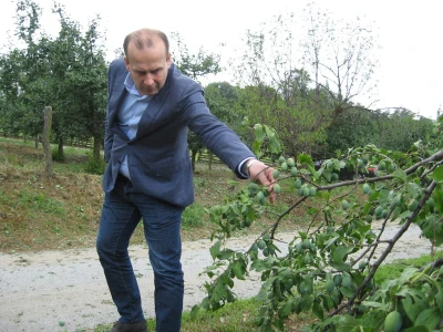 Posledice oluje sa grado u Topoli, 13.06.2018.