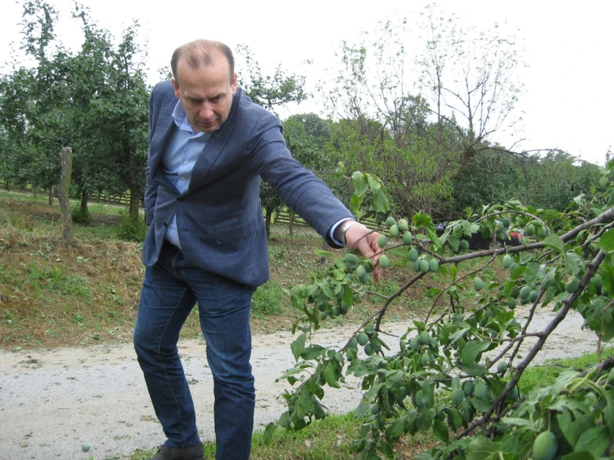 Jovanović