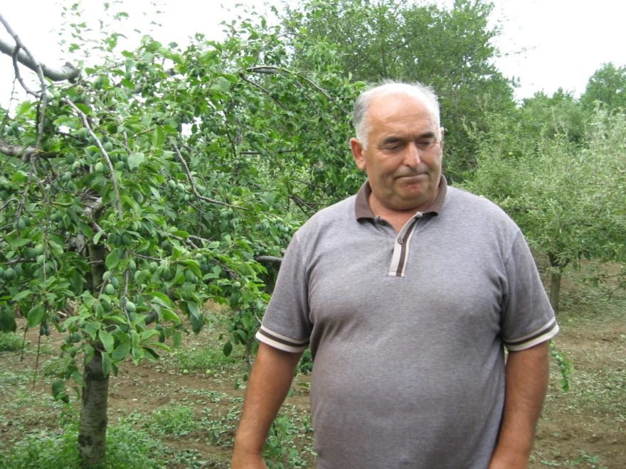 Savić