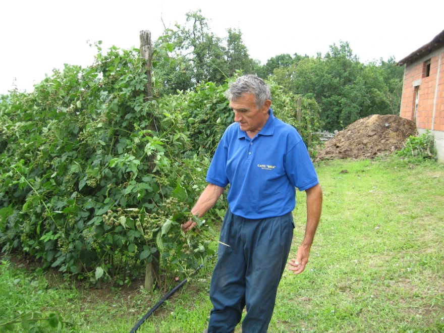 Đurić