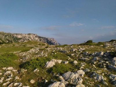 Poslednji suvoplaninski ovčar na planini je već pola veka
