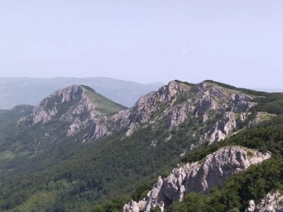 Poslednji suvoplaninski ovčar na planini je već pola veka