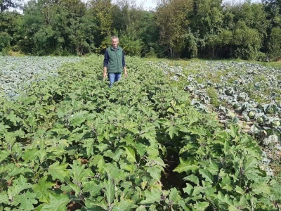 Potomak dostojan naslednik srpskog meleza, foto: M. Lazarević