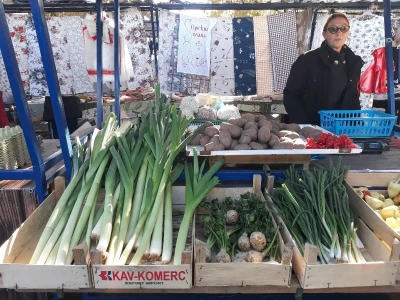 Povrtarstvo u Staroj Pazovi