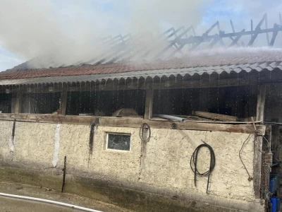 Požar na obiteljskoj farmi krava u Kamešnici