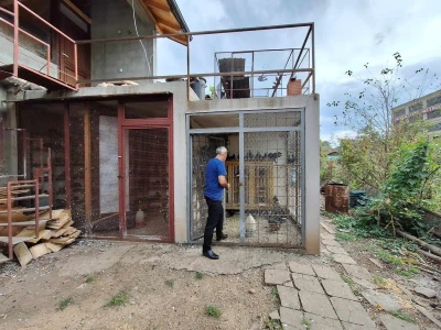 Poznati niški privrednik ima 600 golubova i sve ih prepoznaje